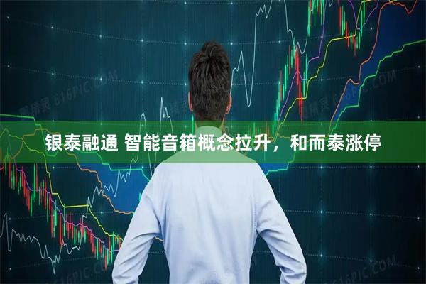 银泰融通 智能音箱概念拉升，和而泰涨停