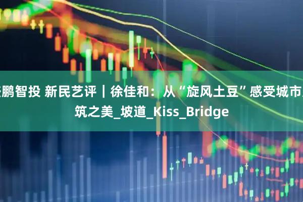 盛鹏智投 新民艺评｜徐佳和：从“旋风土豆”感受城市建筑之美_坡道_Kiss_Bridge