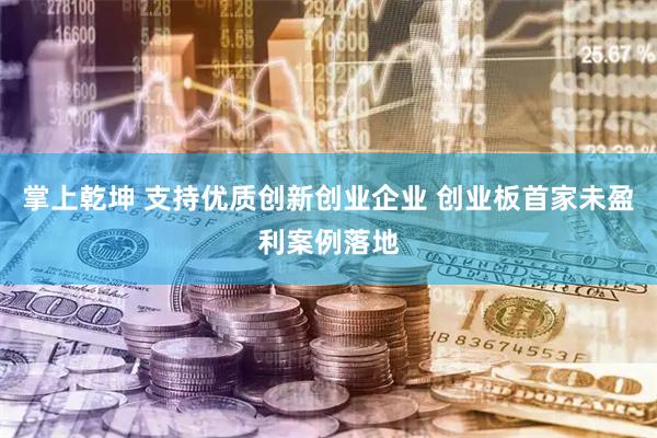 掌上乾坤 支持优质创新创业企业 创业板首家未盈利案例落地