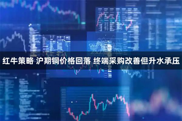 红牛策略 沪期铜价格回落 终端采购改善但升水承压